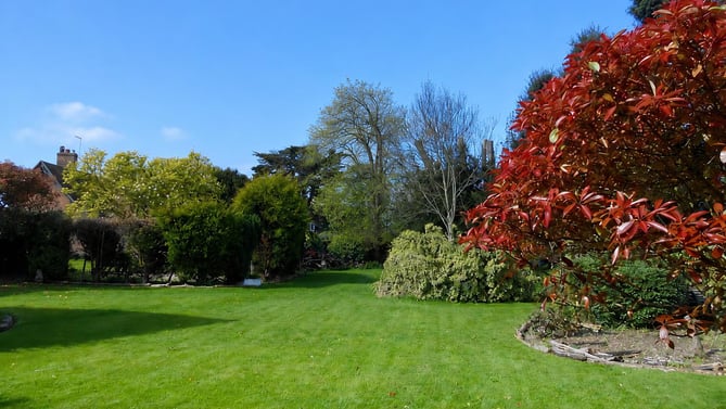 The lawn and trees in the garden at Broadacre